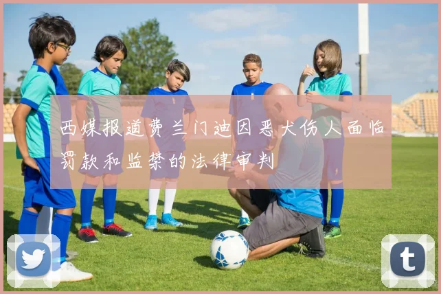 西媒报道费兰门迪因恶犬伤人面临罚款和监禁的法律审判